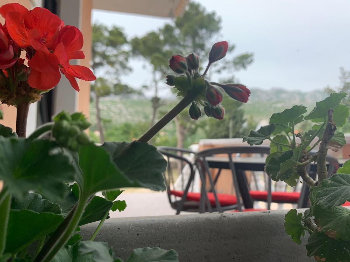 Apartmani Spomenka Seline Bagian luar foto