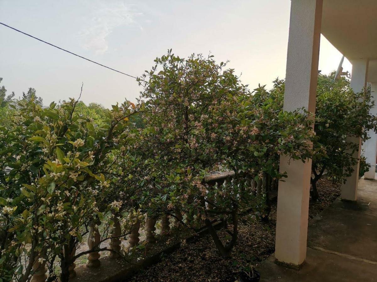 Apartmani Spomenka Seline Bagian luar foto