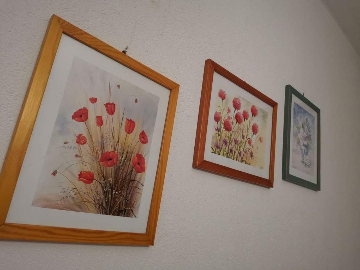 Apartmani Spomenka Seline Bagian luar foto