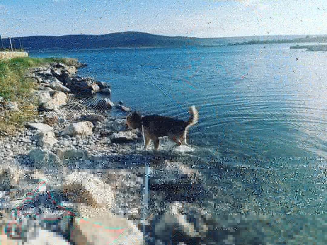 Apartmani Spomenka Seline Bagian luar foto