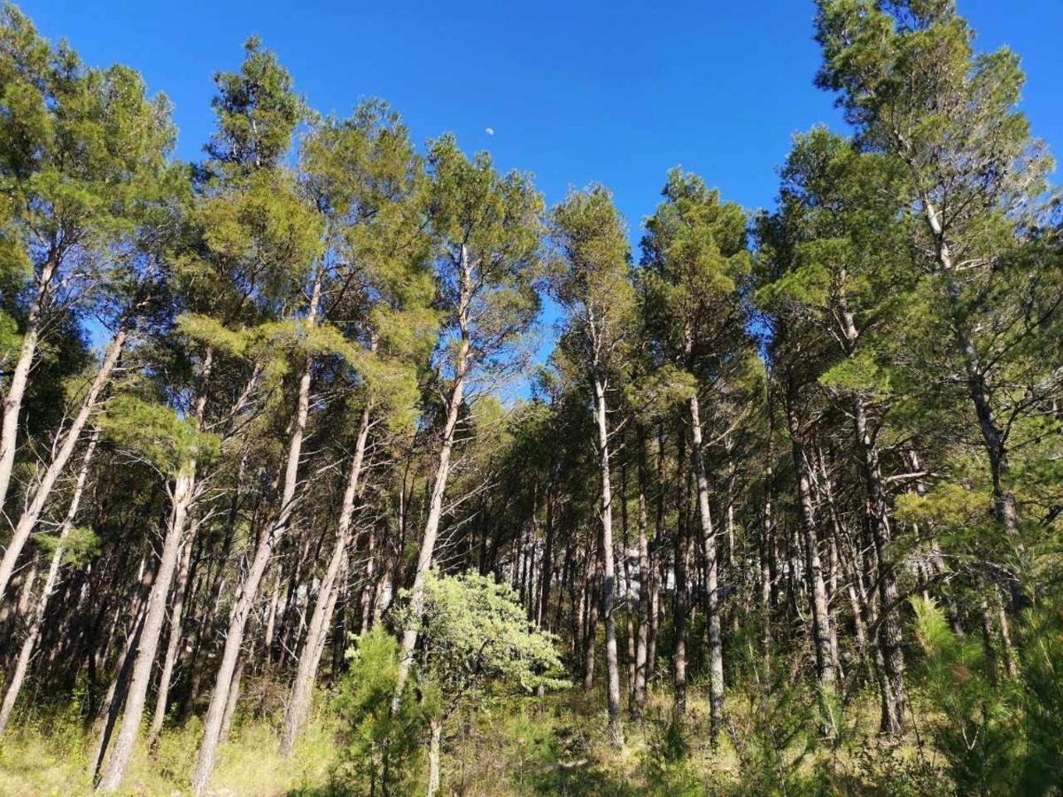 Apartmani Spomenka Seline Bagian luar foto