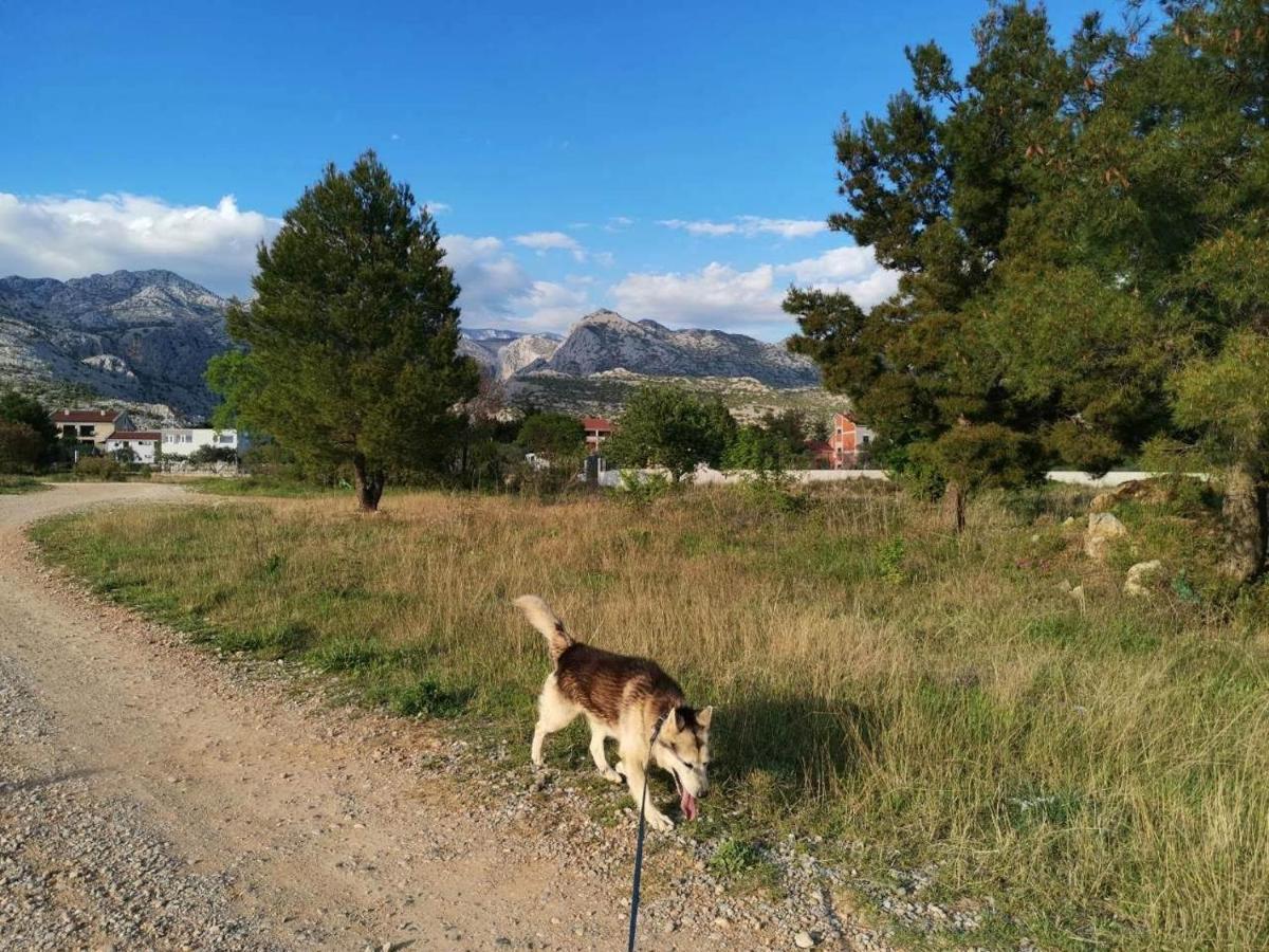 Apartmani Spomenka Seline Bagian luar foto