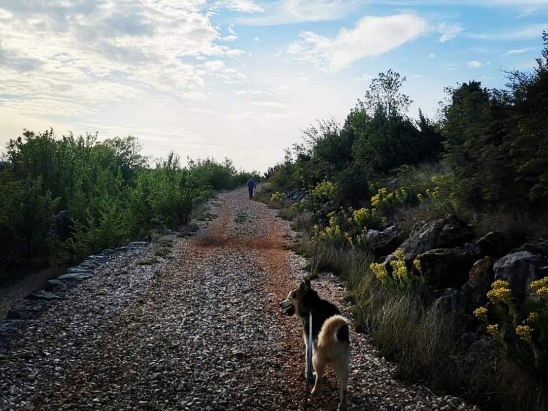 Apartmani Spomenka Seline Bagian luar foto
